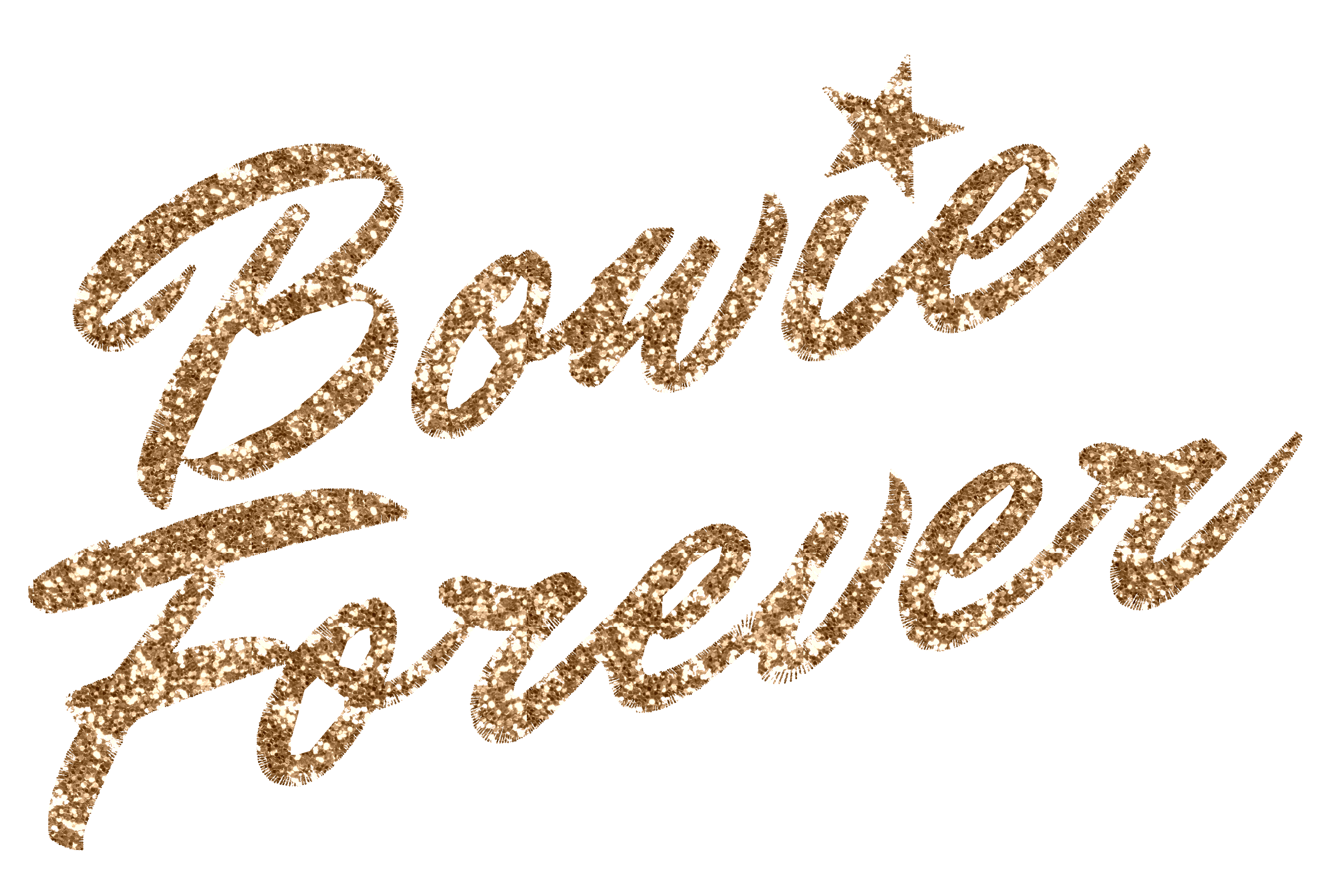 Limited Edition 'BOWIE FOREVER' glitter embroidered premium organic unisex vintage aged t-shirt - inspired by David Bowie