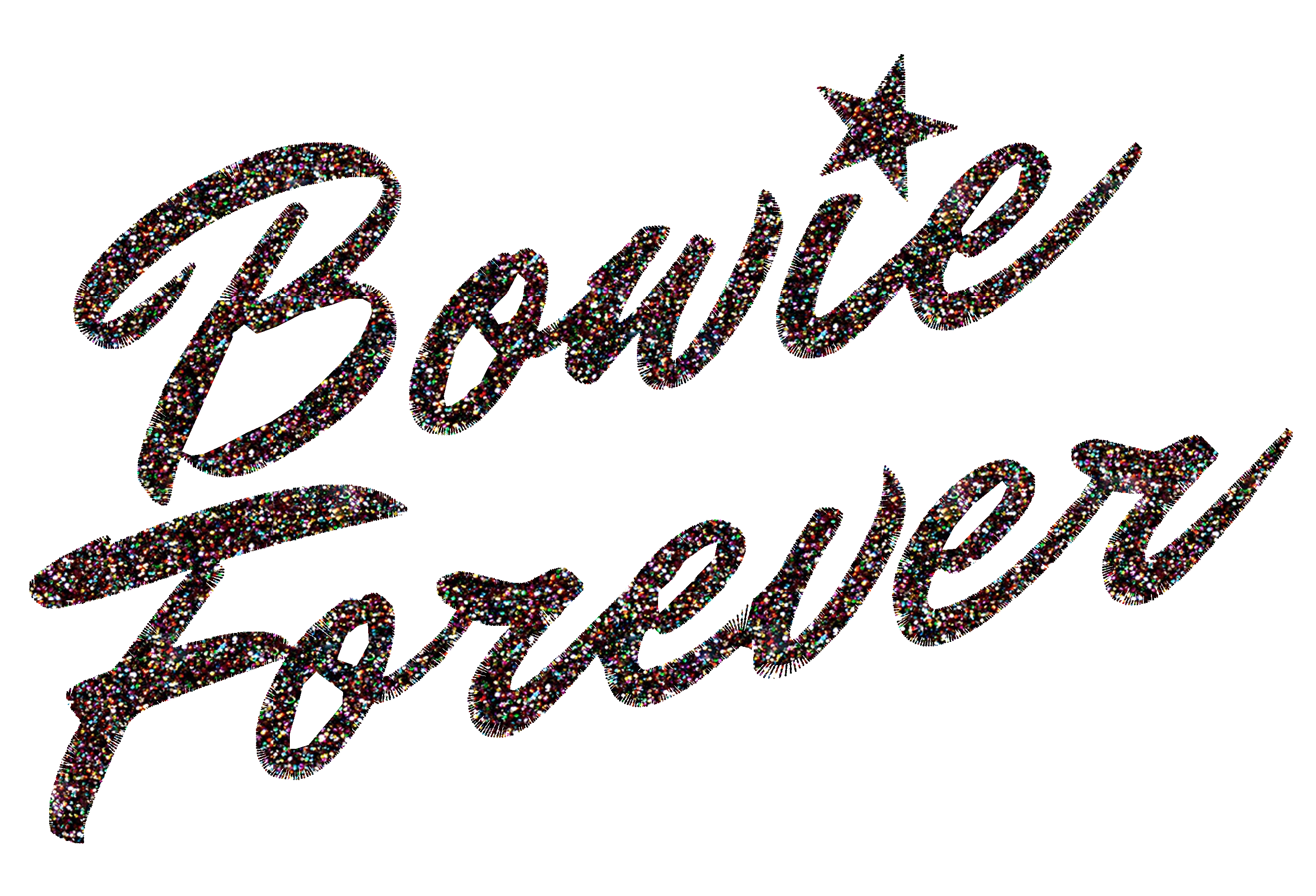 Limited Edition 'BOWIE FOREVER' glitter embroidered premium organic unisex vintage aged t-shirt - inspired by David Bowie