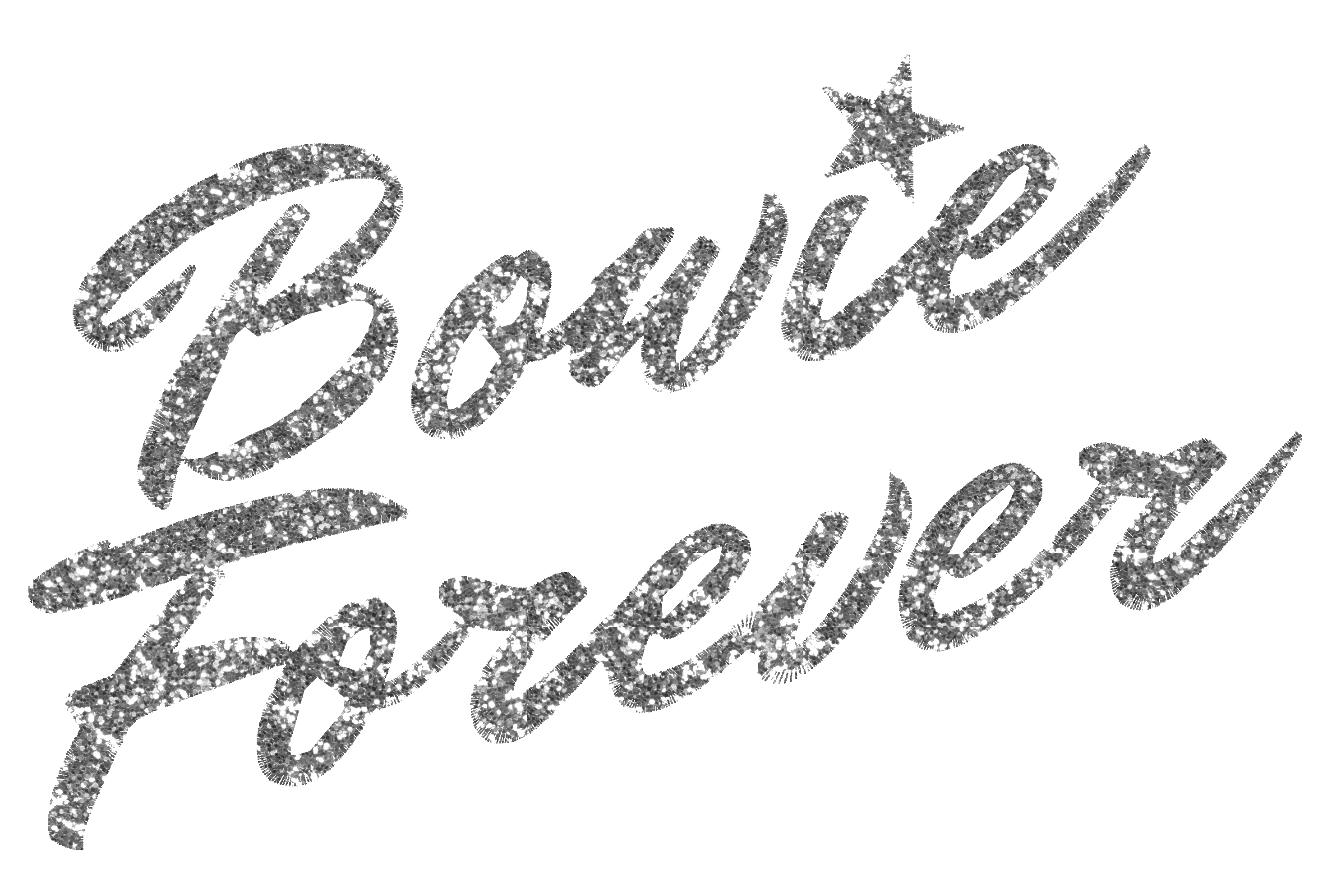 Limited Edition 'BOWIE FOREVER' glitter embroidered premium organic unisex vintage aged t-shirt - inspired by David Bowie