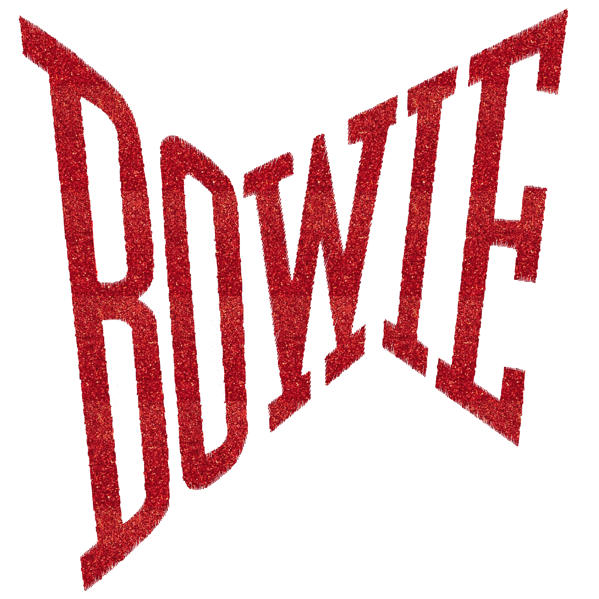 Limited Edition 'BOWIE' glitter embroidered organic unisex vintage style 'matcher' sweatshirt