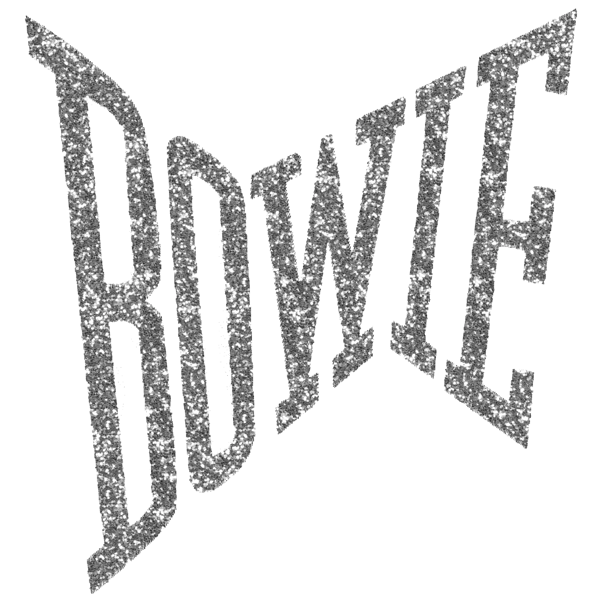 Limited Edition 'BOWIE' glitter embroidered organic unisex vintage style 'matcher' sweatshirt