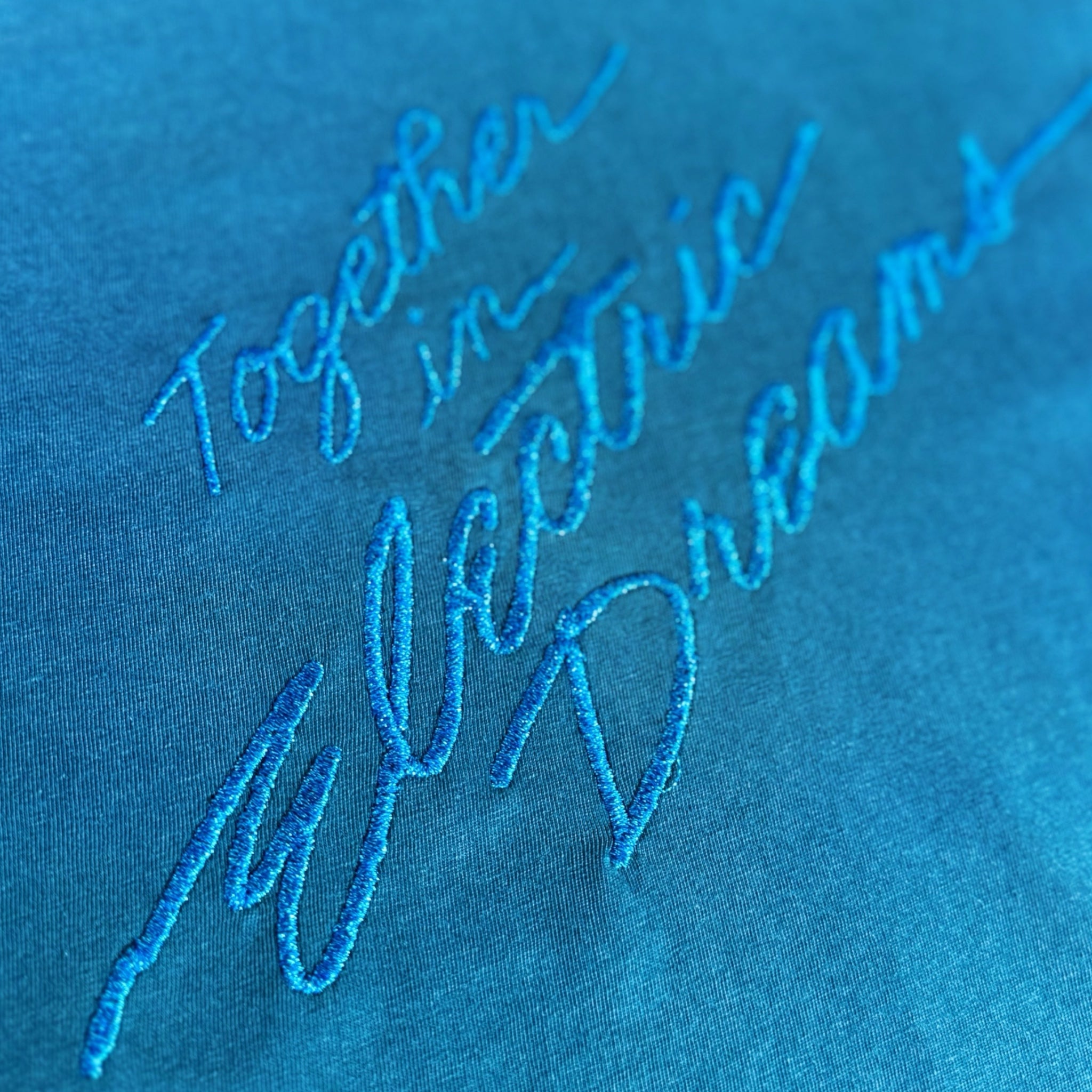 'TOGETHER IN ELECTRIC DREAMS' embroidered premium organic cotton unisex vintage aged t-shirt