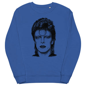 David Bowie Ziggy Stardust Hand-drawn Vintage Style Pop Art Premium Printed Unisex organic sweatshirt