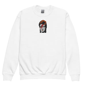 Kids Bowie 70's Pop Art Premium Embroidered Youth crewneck sweatshirt