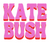 'KATE BUSH' RETRO COLOUR POP EMBROIDERED UNISEX GARMENT DYED ORGANIC COTTON T-SHIRT